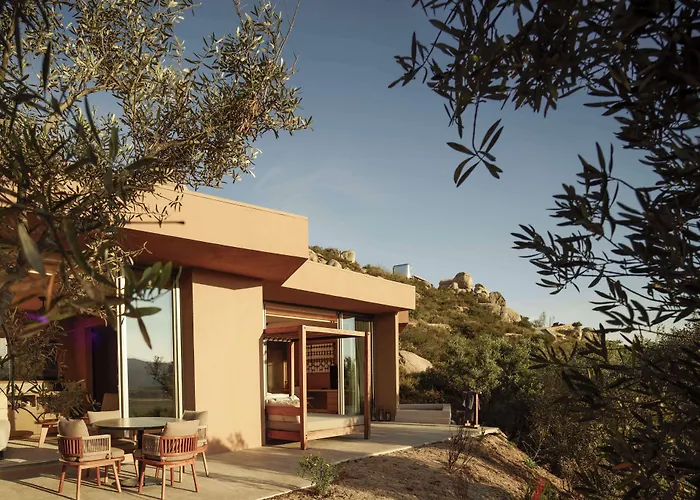 Banyan Tree Veya, Valle De Guadalupe